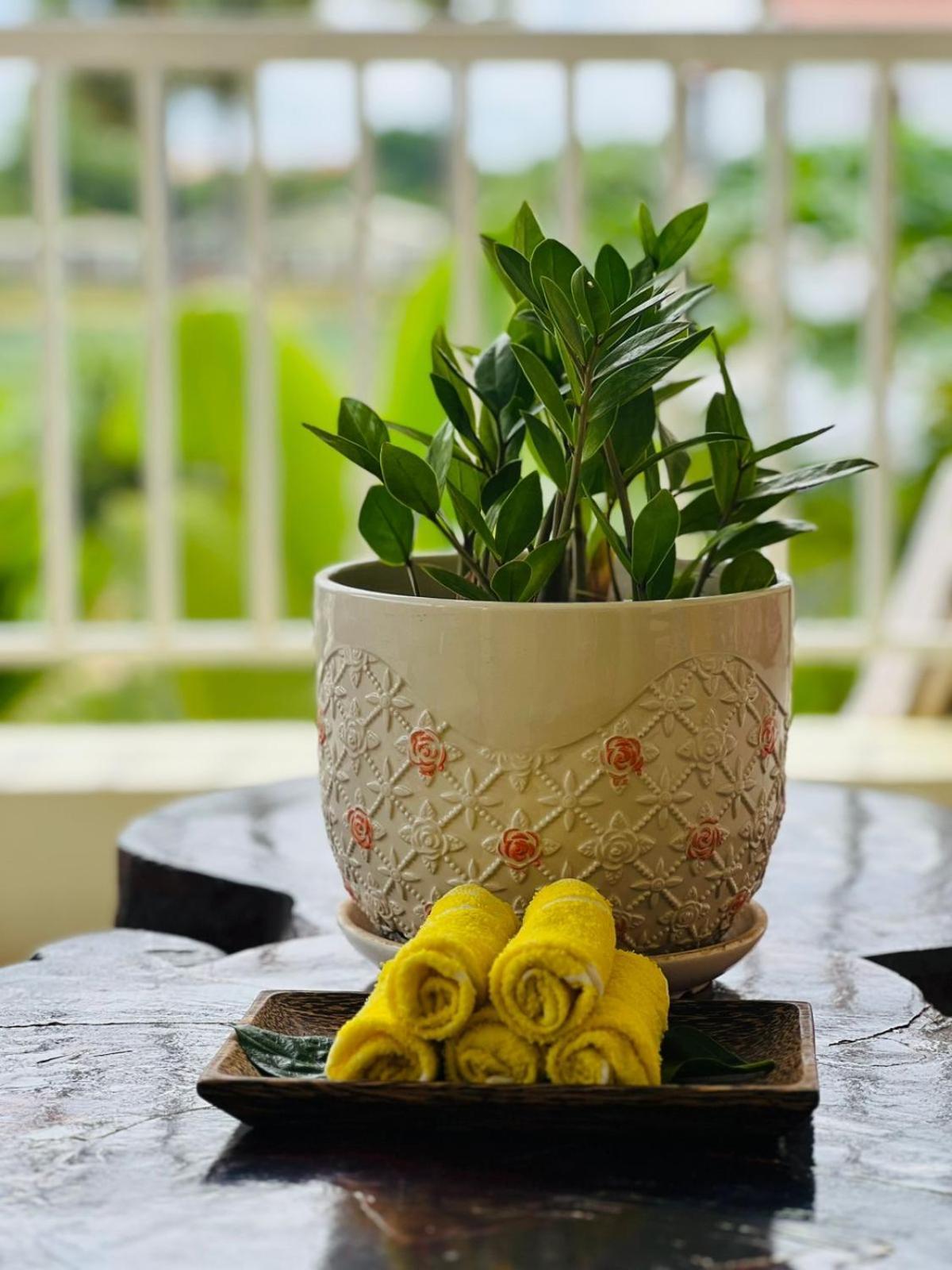 Homestay Yellow Natural House Siem Reap Extérieur photo
